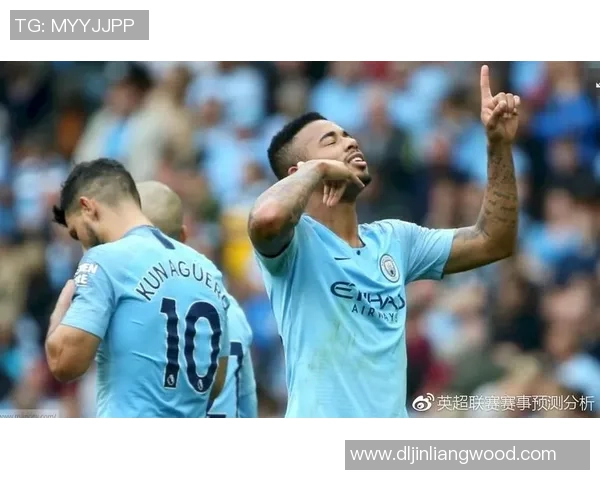 2018年欧冠小组赛霍芬海姆对曼城的赛前分析与预测 2018年欧冠小组赛霍芬海姆对曼城的赛前分析与预测